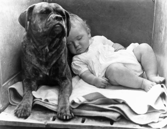 Little Girl Resting On Her Dog