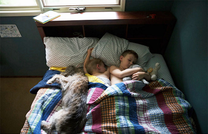 Dog And Brothers Sleeping In Bed