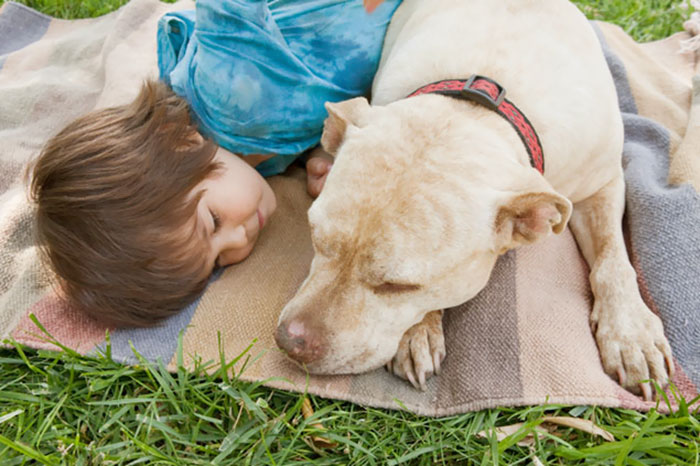Boy Laying On Blanket With Dog
