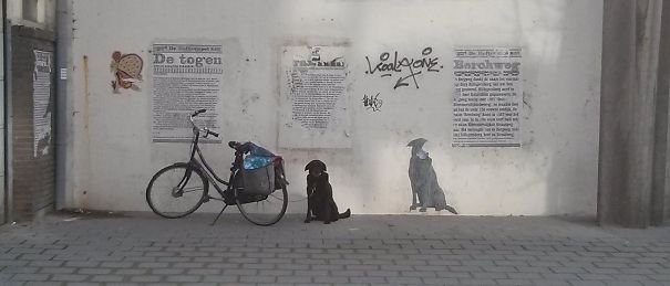 Black Dog At Station Bergweg, Rotterdam