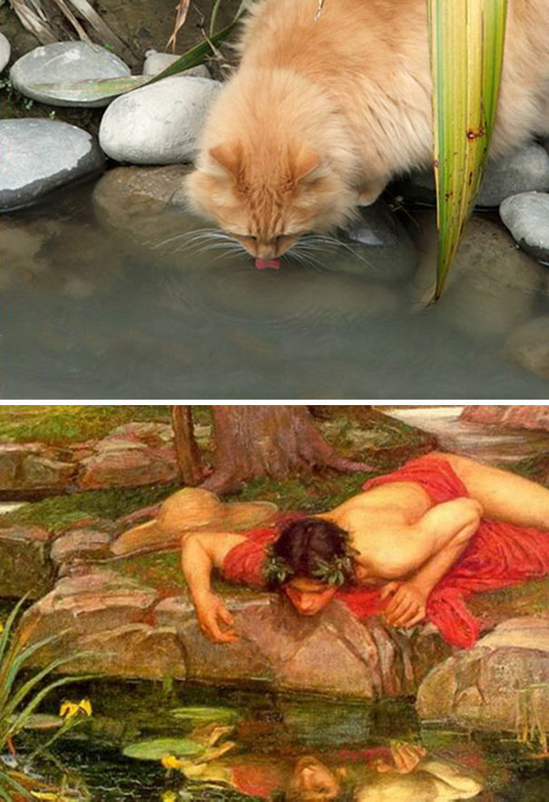 This Cat And John William Waterhouse's “Echo And Narcissus”