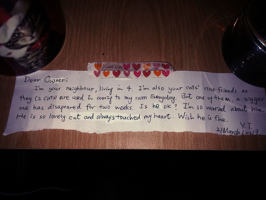 After Losing A Cat, This Couple Found A Note From A Stranger Revealing How Their Kitty Changed Her Life
