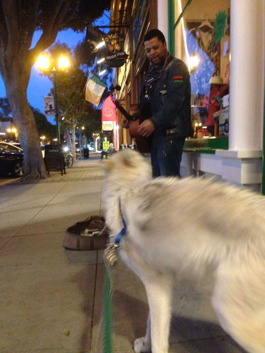A Dog Named Snowy Hanging Out With His Favorite Musicians On Seal Beach Main St.