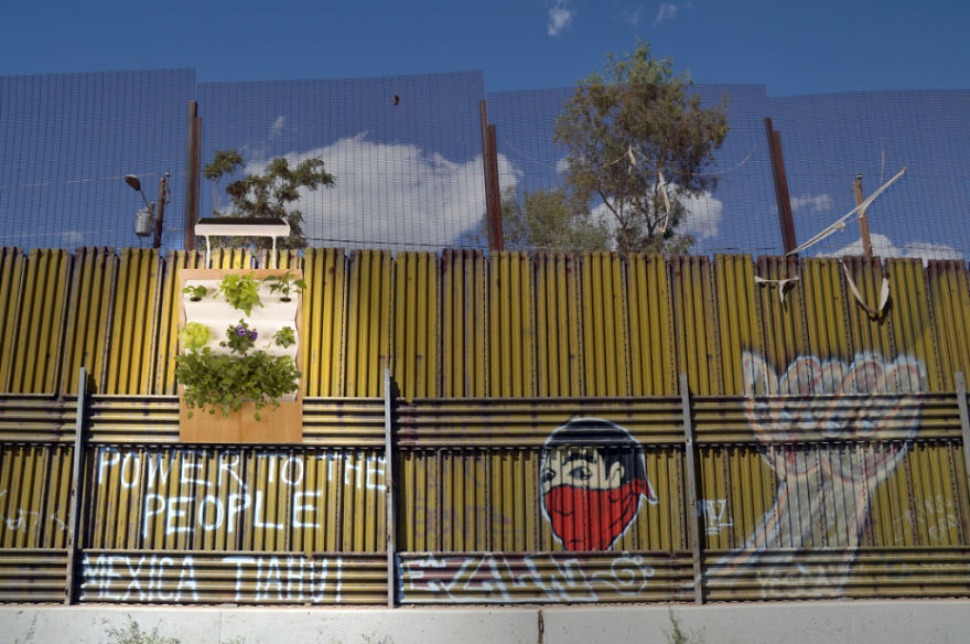 Make Vegetables, Not Walls, With Herbert