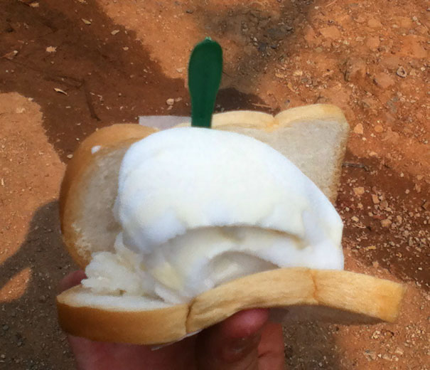 So I Ordered An Ice Cream Sandwich In Thailand... This Is What They Gave Me