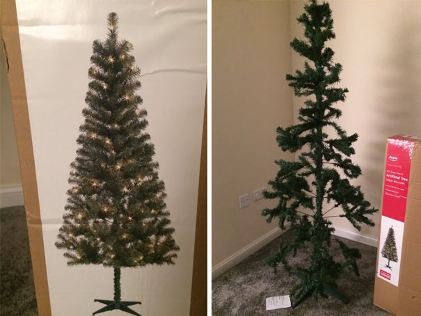 Expectations Vs. Reality: Christmas Tree
