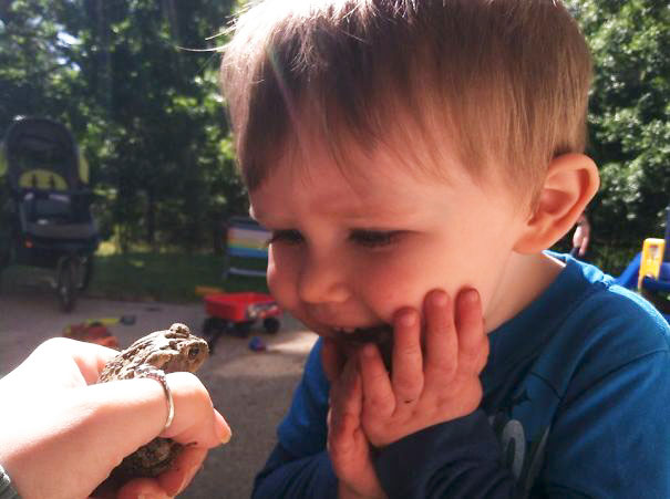 My Son Seeing A Toad For The First Time