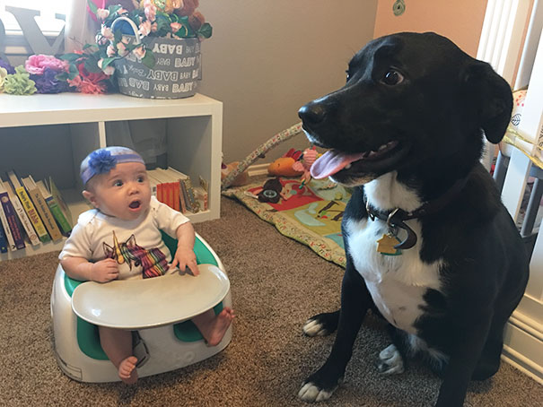 My Niece Meeting A Dog For The First Time