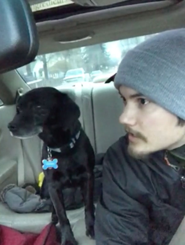 Pizza Guy Stops To Rescue Lost Dog Because Its Life Is More Important To Him Than The Risk Of Losing His Job
