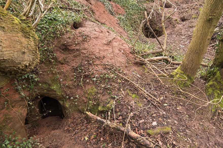 Rabbit Hole Leads To A Secret 700-Year-Old Cave Network Built By Knights Templar
