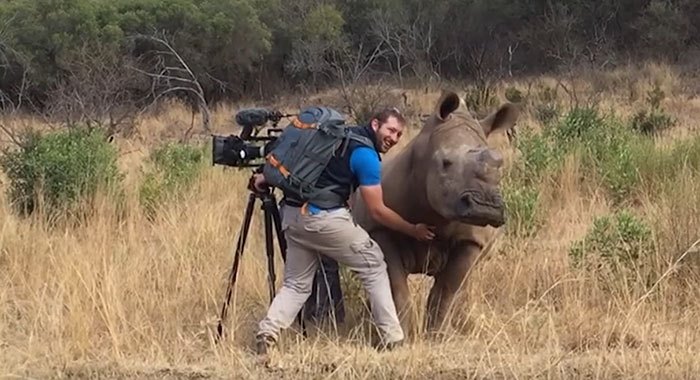 rhino-cameraman-belly-rub-south-africa-01
