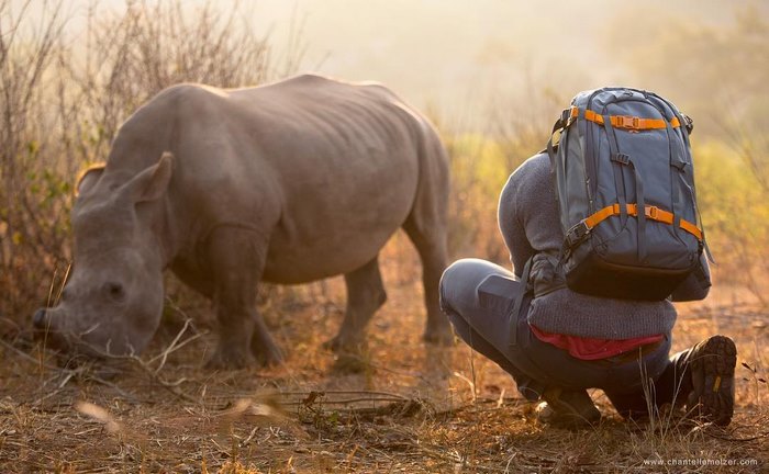 rhino-cameraman-belly-rub-south-africa-1
