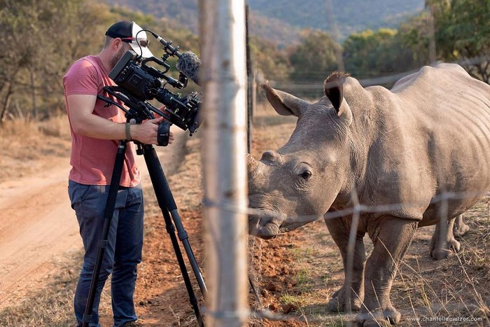 rhino-cameraman-belly-rub-south-africa-2