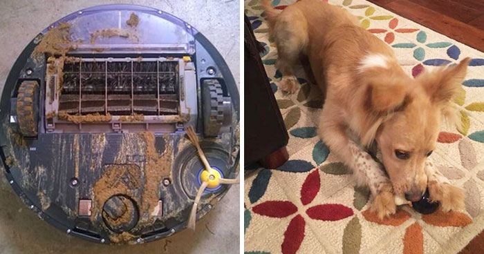 What Happens When Roomba Runs Over Dog Poo In The Middle Of The Night