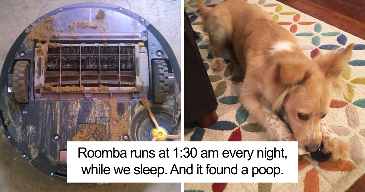 This Dad Just Learned What Happens When Roomba Runs Over ...