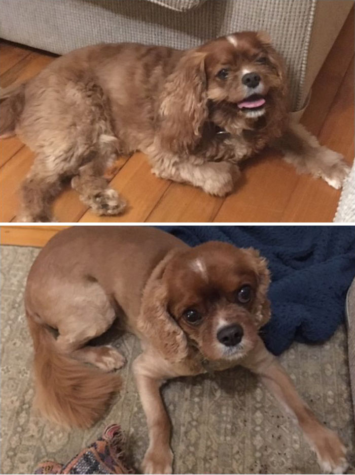 Bob Before And After