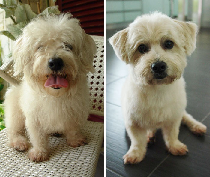 Here's My Baby. Before And After Haircut