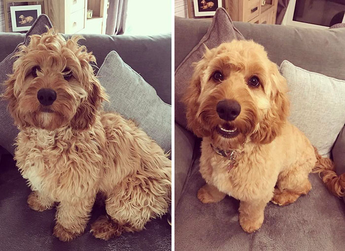 Here I Am, Before And After My First Big Girl Haircut