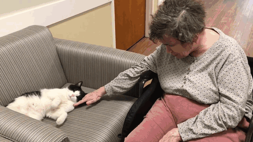 This Stray Cat Snuck Into A Nursing Home, And Got A Job