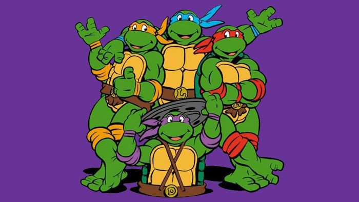 Ninja Turtles Series From The 80s