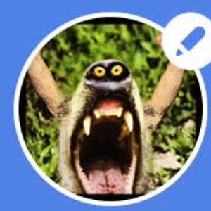 theabomin8tor-exe avatar