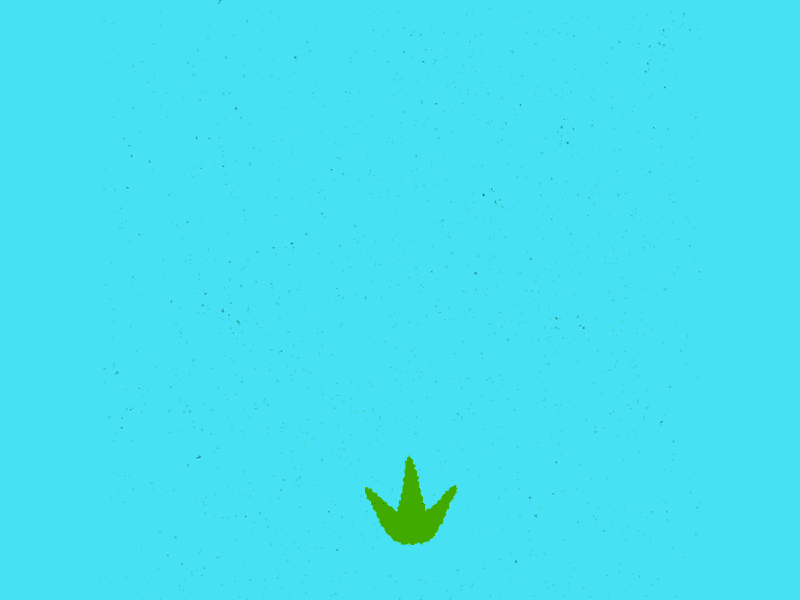 Weed. Like You've Never Seen Before!
