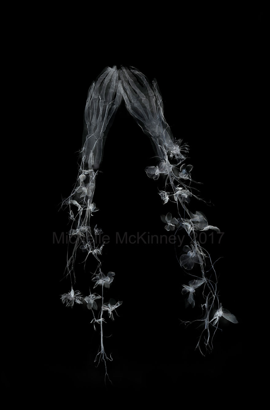 I Create Woven Metal Sculptures And Turn Them Into X-Ray Photographs.