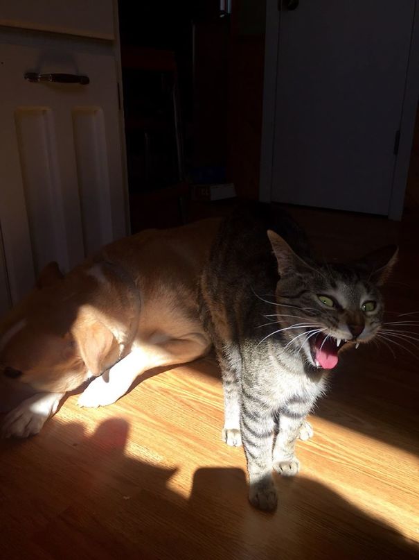"he Stole Part Of My Sun! I Don't Want To Share!!"