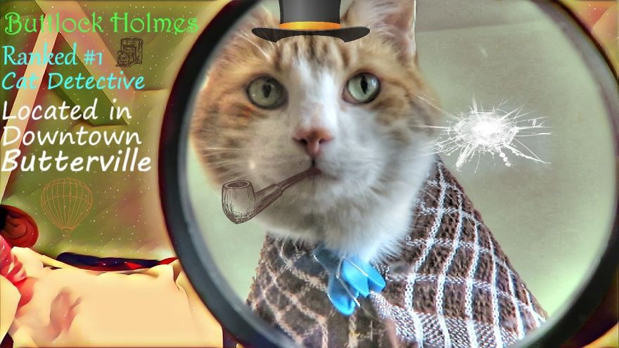 Buttlock Holmes Cat Detective Can Crack Any Case!