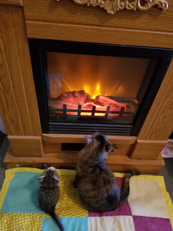 Our Favorite Channel As The Fireplace Turns