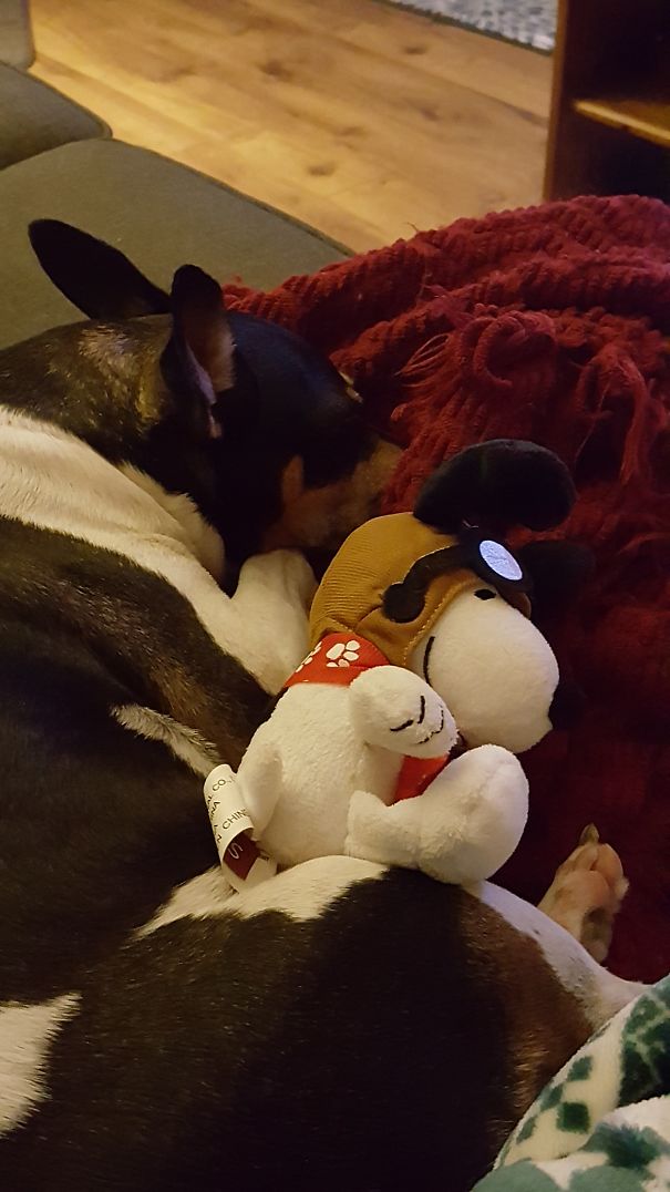 Bradley Relaxing With Snoopy