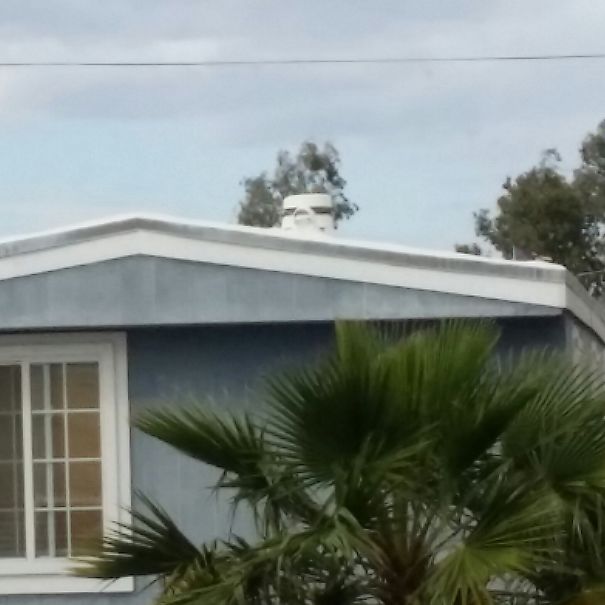 A Roof Top Storm Trooper