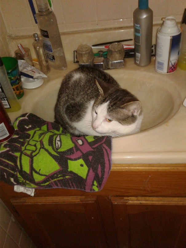 Turned The Water On In The Tub For His Bath. Turn To My Right And Find Him In The Sink
