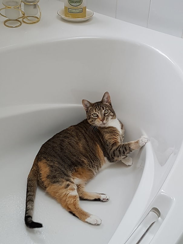 A Little Privacy Please. I'm Trying To Take A Bath!