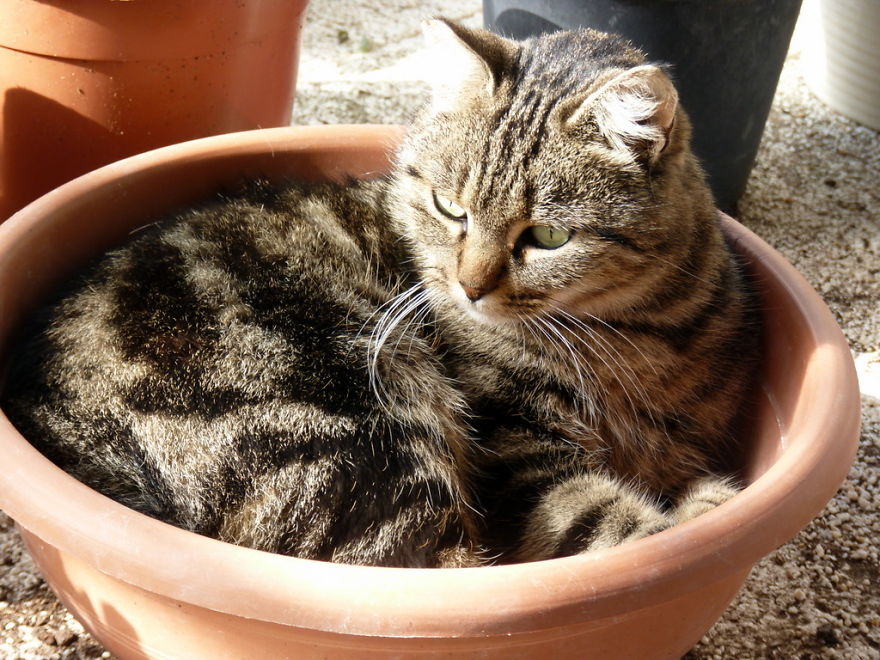I Find Animals Hilarious And Expressive - Part1