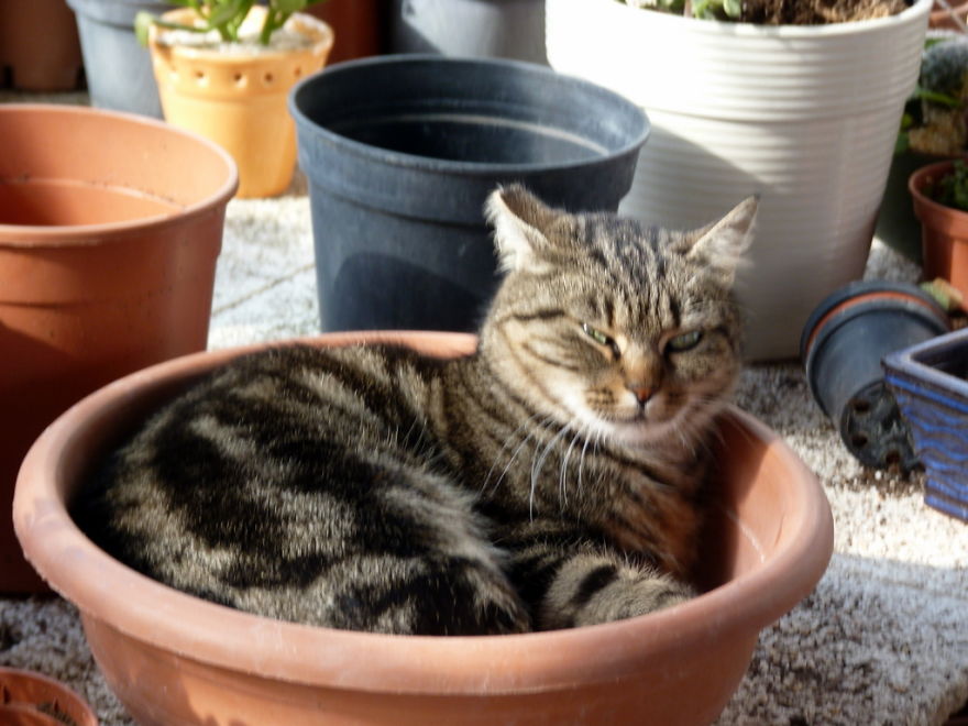 I Find Animals Hilarious And Expressive - Part1