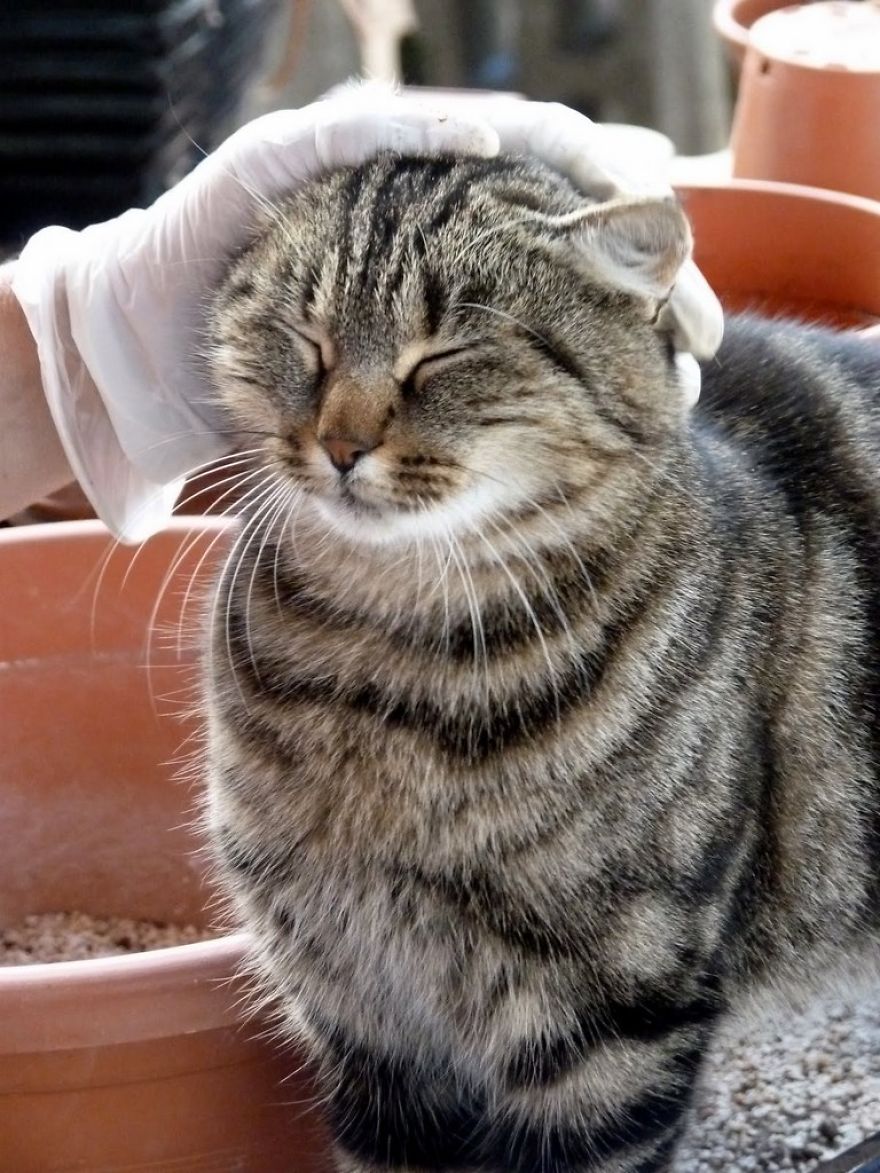 I Find Animals Hilarious And Expressive - Part1