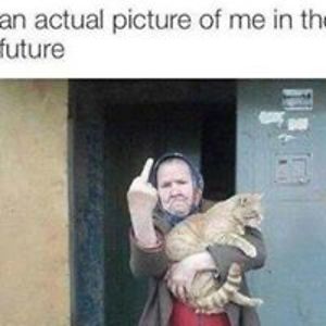 sylumalliegator avatar