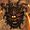 sirledric avatar
