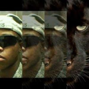 brandon_harris avatar