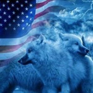 wolfmates4life avatar