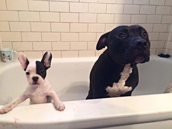 Bath Time For Two