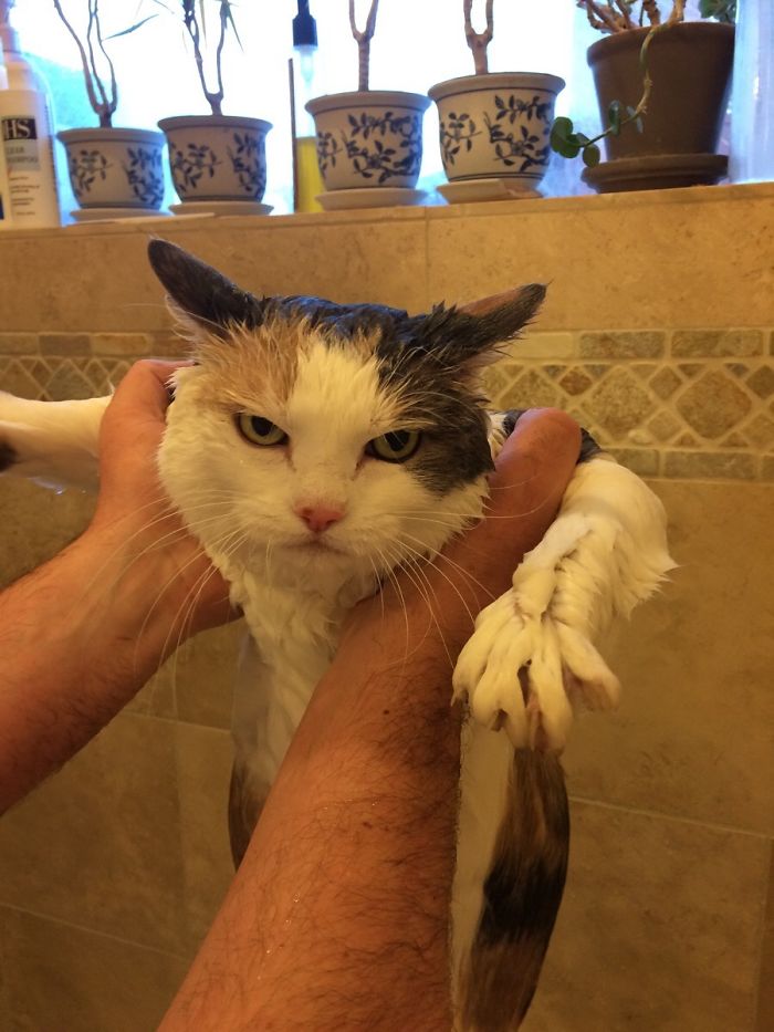 Somebody Isn't A Fan Of Bath Time