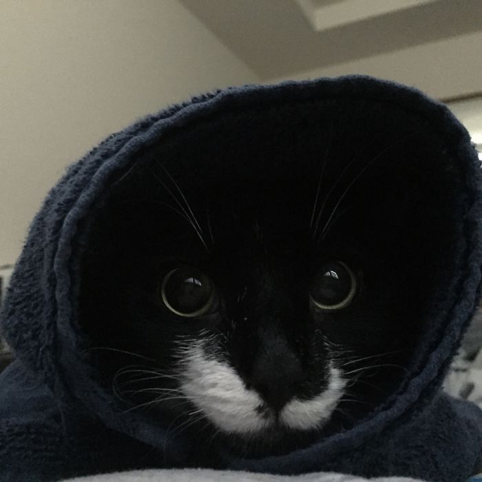 When You're Torn Because You Don't Like Baths But Don't Mind Being Wrapped Like A Burrito, Pretending To Be A Sith Lord