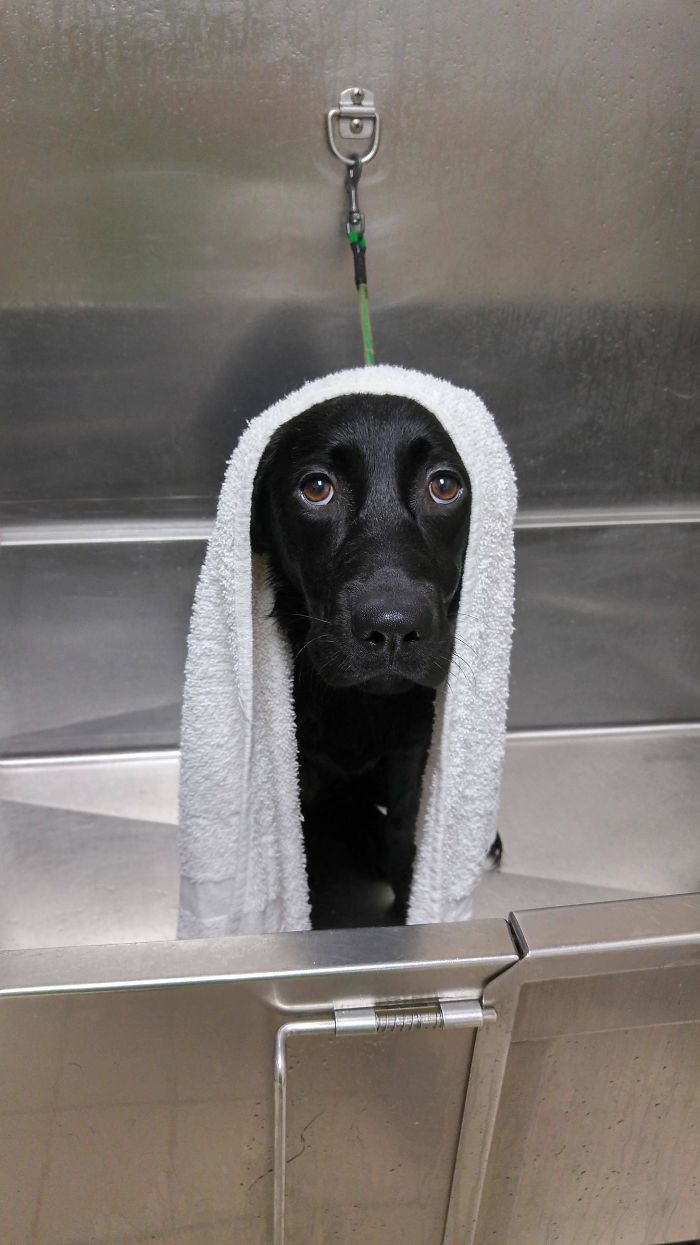 Emma Feels Defeated After A Bath