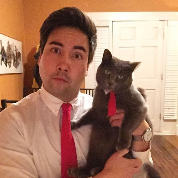 My Mom Knit Me And My Cat Another Set Of Matching Ties For Christmas