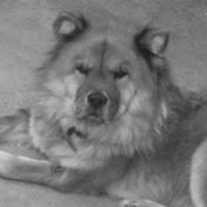 im_offthehook_5150 avatar