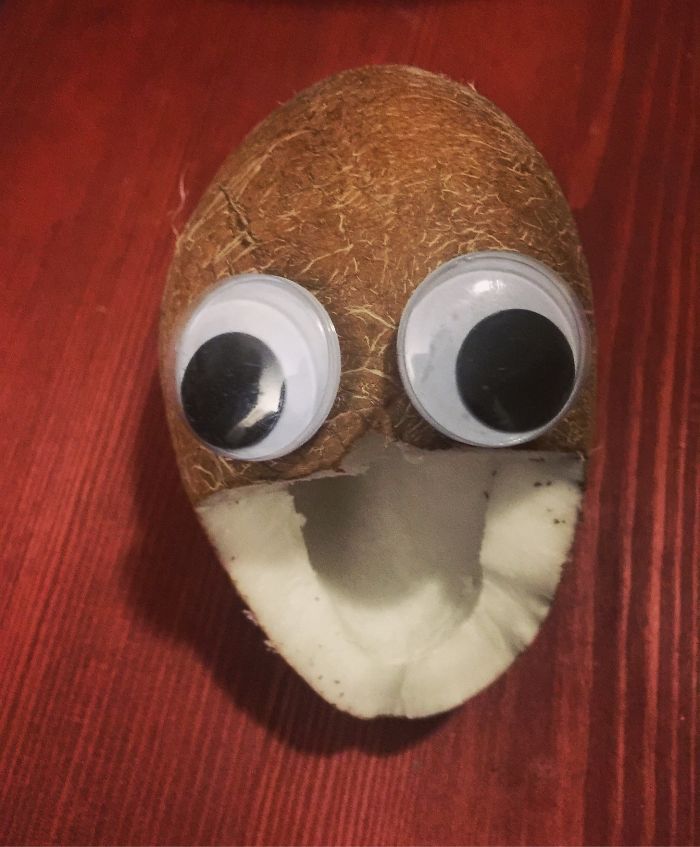 Just Cut Open A Coconut And It Is The Cutest Thing Ever