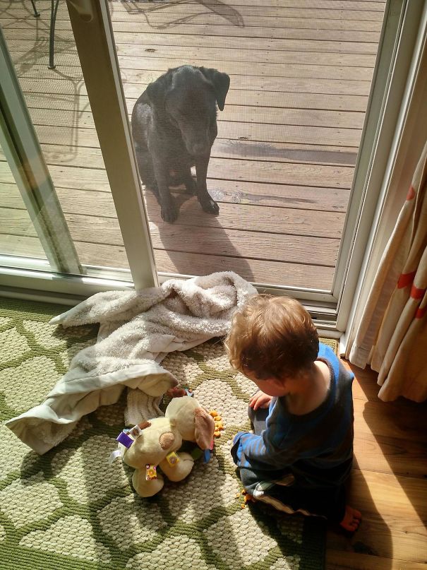 My Son Feeding His Fake Dog Goldfish While His Real Dog Sits Outside, Pissed