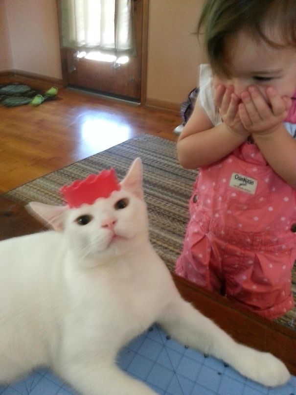 My Daughter Was Pretty Excited To Make The Cat A Princess